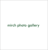 mirch-flash